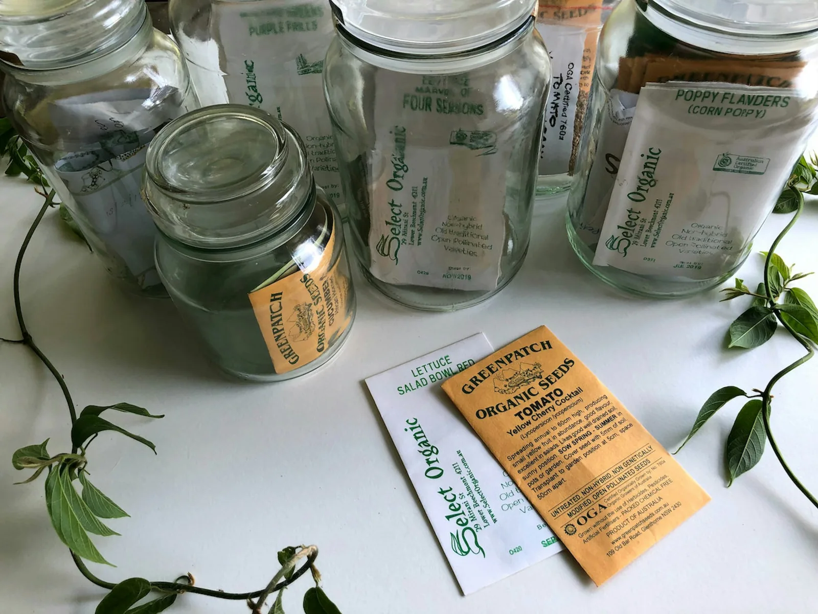 Seed samples stored in jars