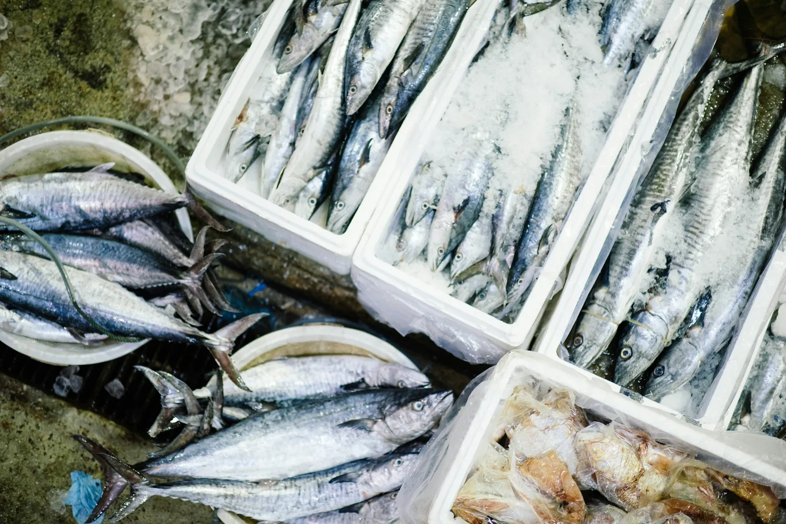A coastal fish market stall