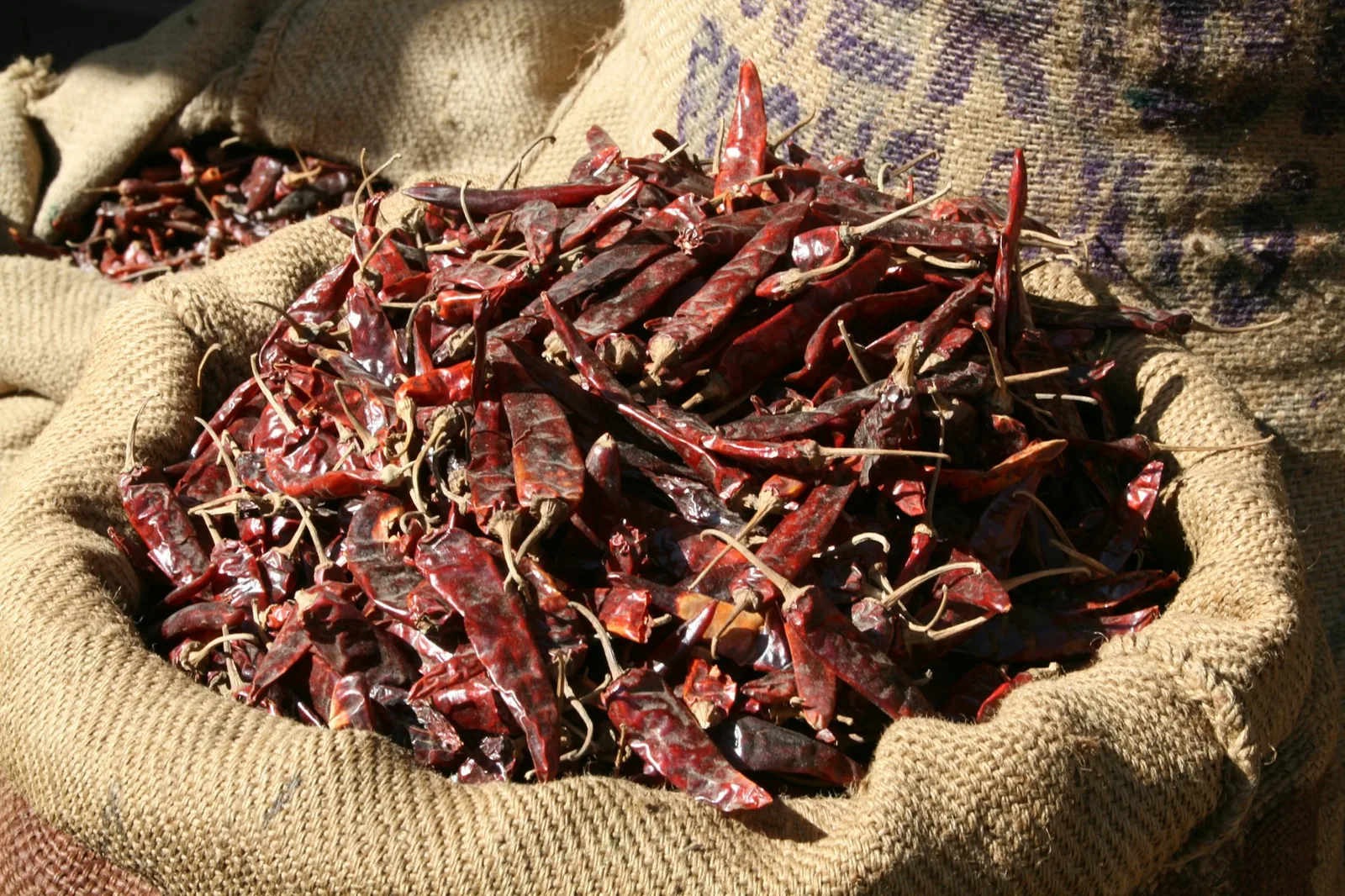 Whole dried guajillo chiles, the base of the birria stewing liquid