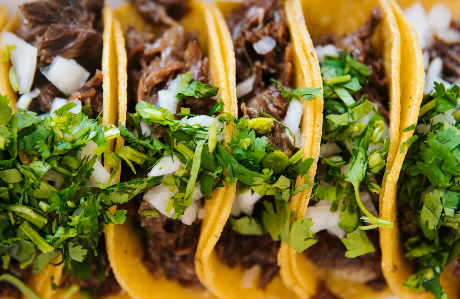 Beef street tacos on corn tortillas with onion and cilantro