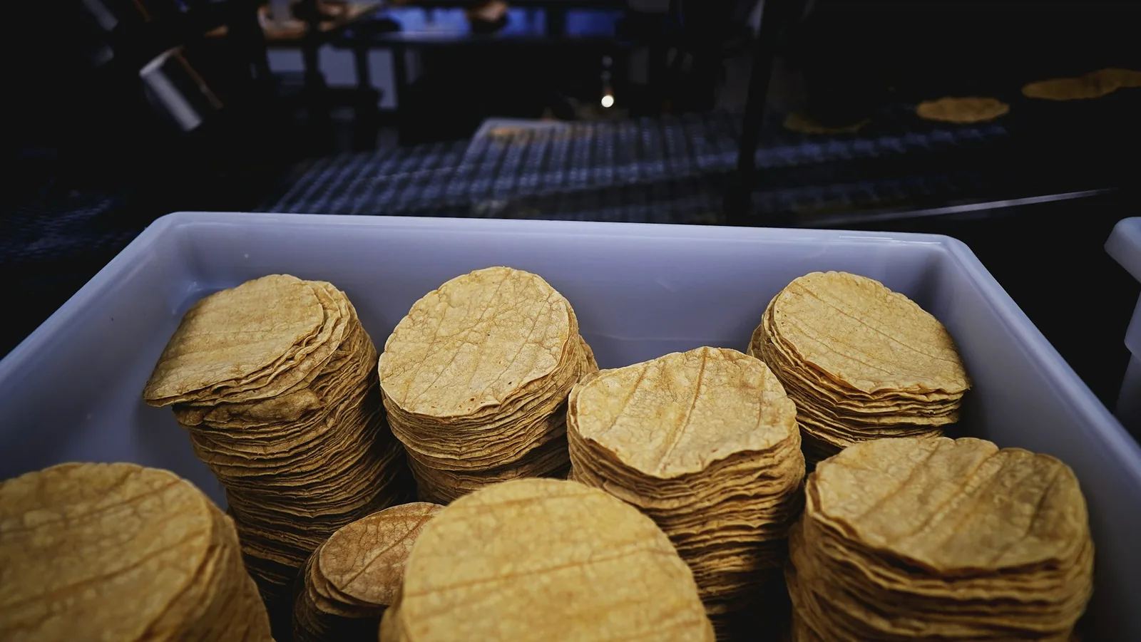 Corn vs Flour Tortillas: Which Works Best for Tacos?