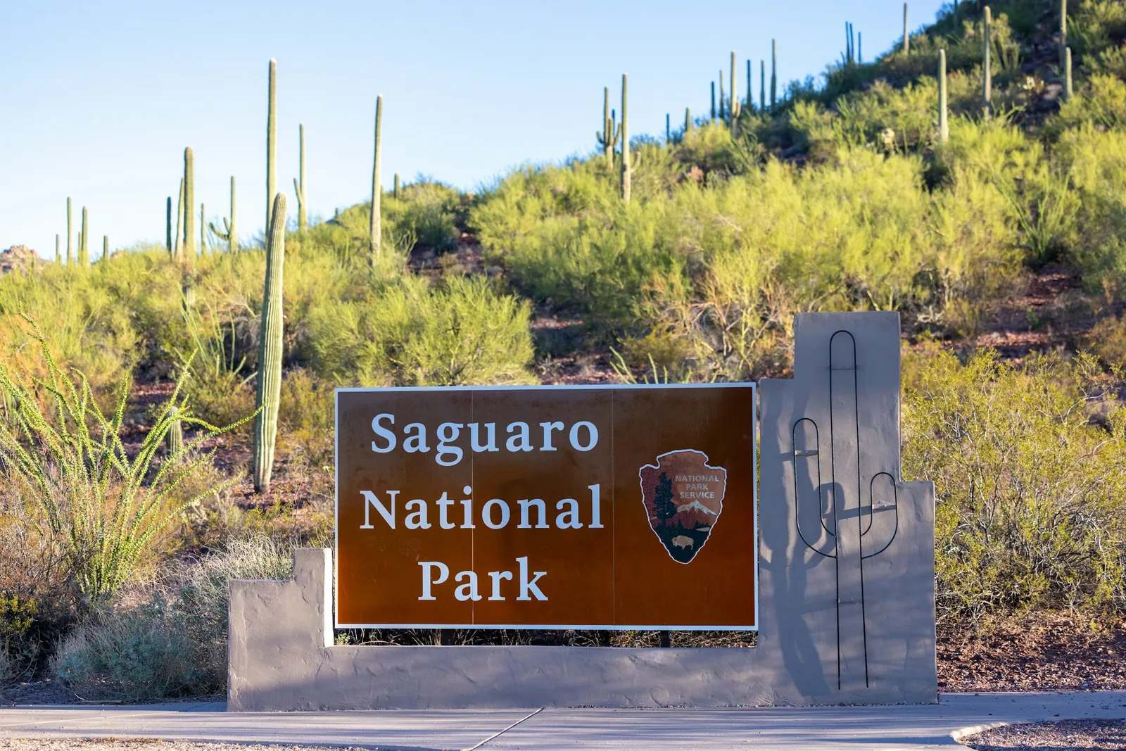 The Sonoran desert around Tucson