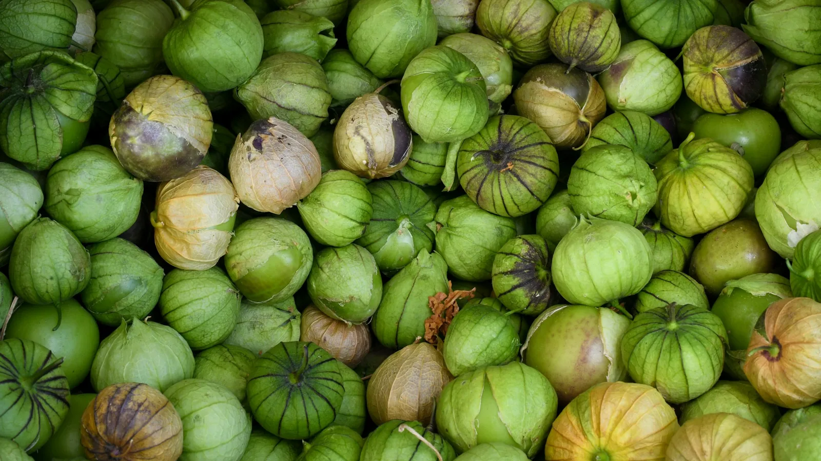Green tomatillo salsa simmering in a pan