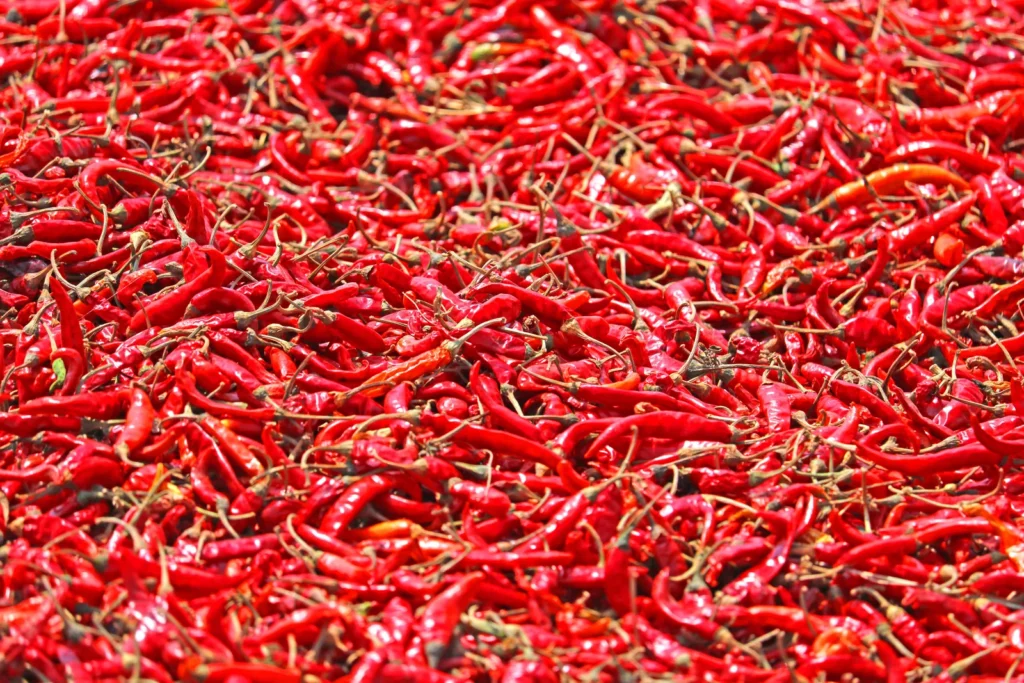An assortment of dried red chillies