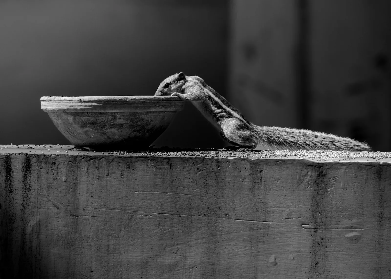 Dried chillies rehydrating in hot water