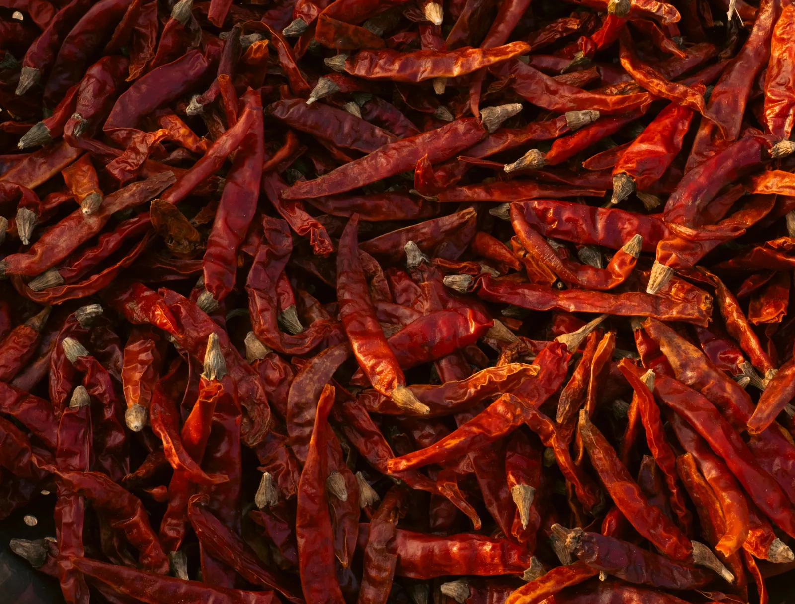 Wide, flat dried chilli pods