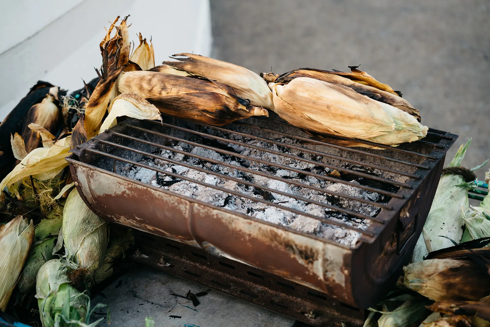 Corn cobs charring over an open grill