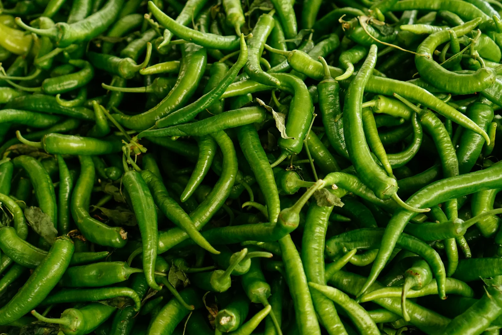 Fresh Mexican Chillies: Jalapeño, Serrano, Poblano, Habanero