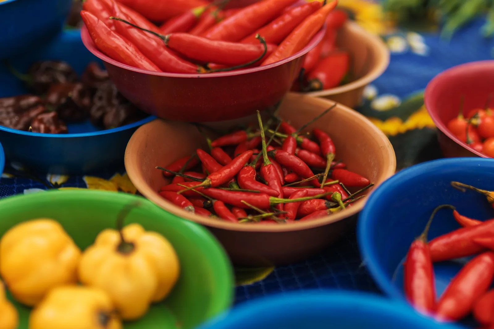 Small round orange chillies