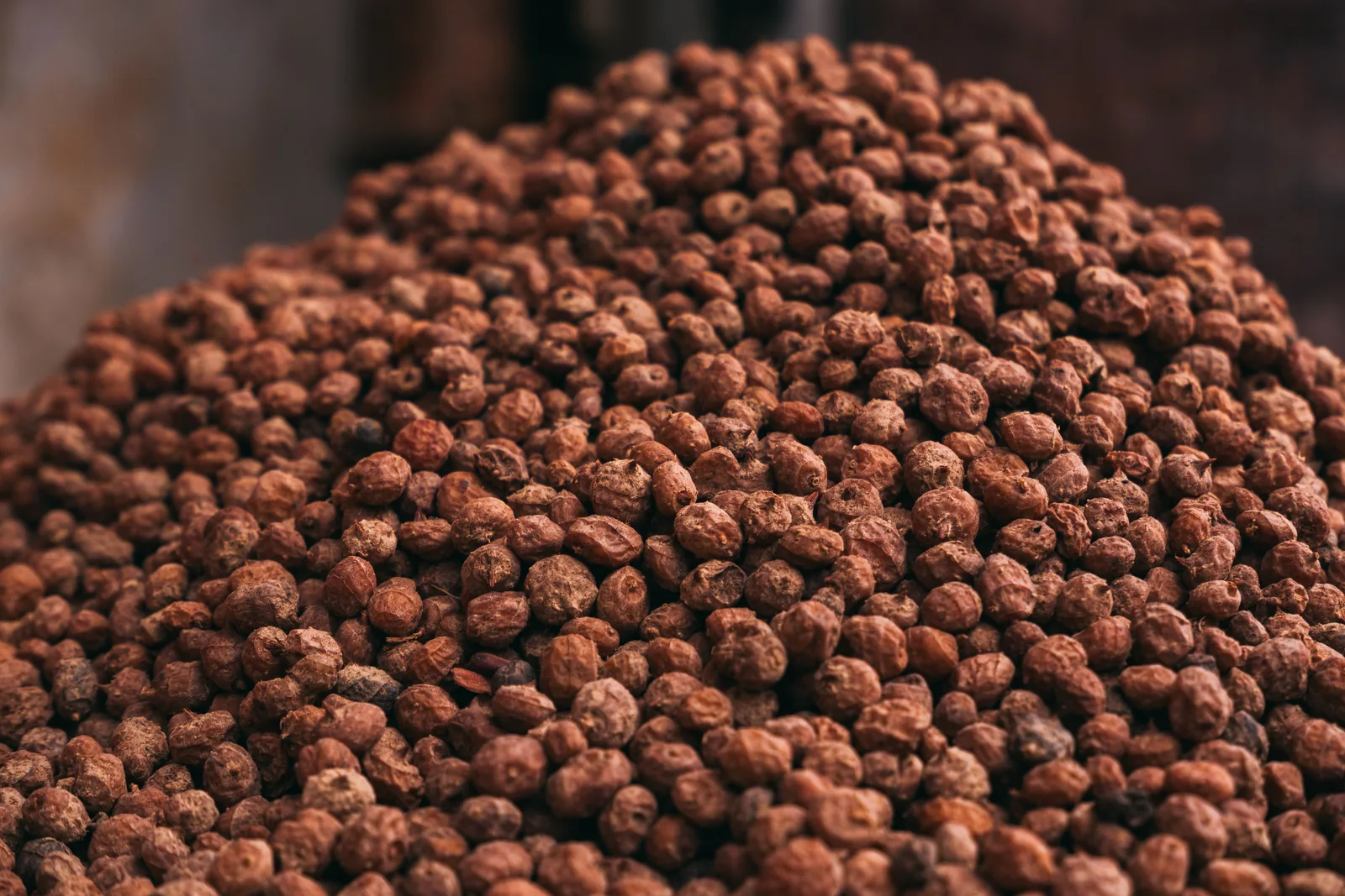 Tiger nuts, the tuber used in the original Valencian horchata
