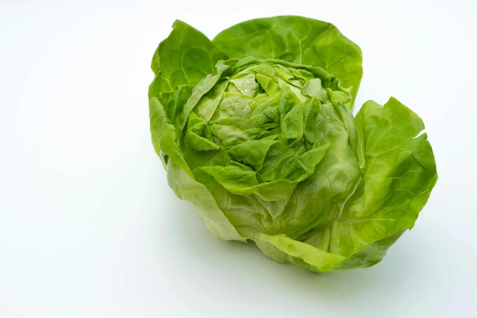 A filling served in a lettuce leaf