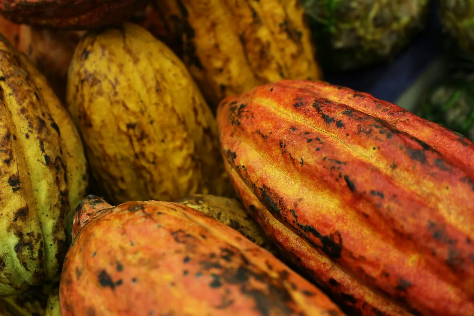 Unsweetened chocolate, one ingredient among many
