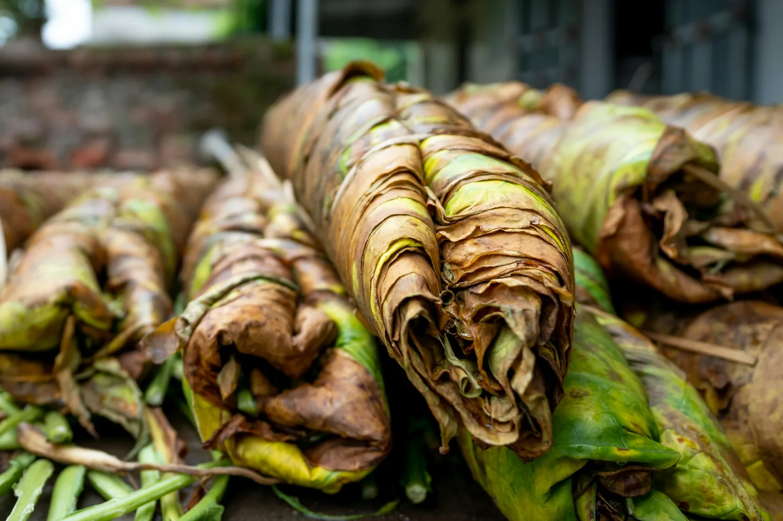 A parcel wrapped in banana leaf rather than husk