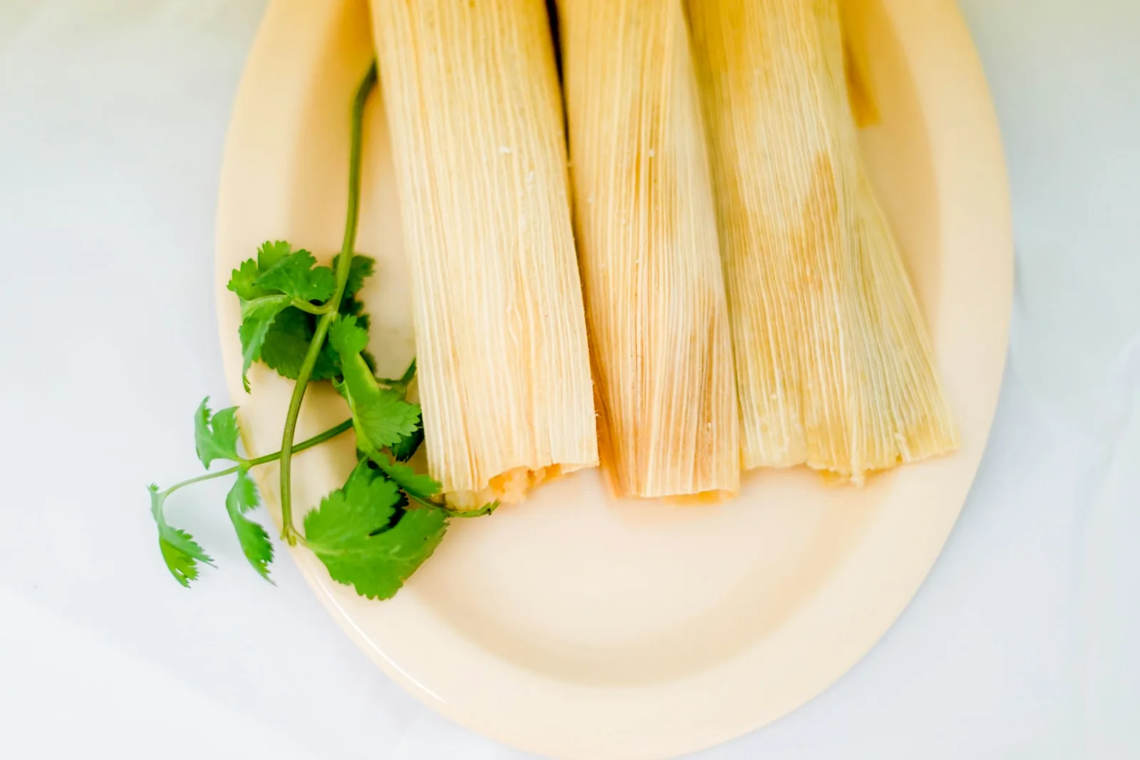 What Are Tamales? Masa, Steam and a Corn Husk