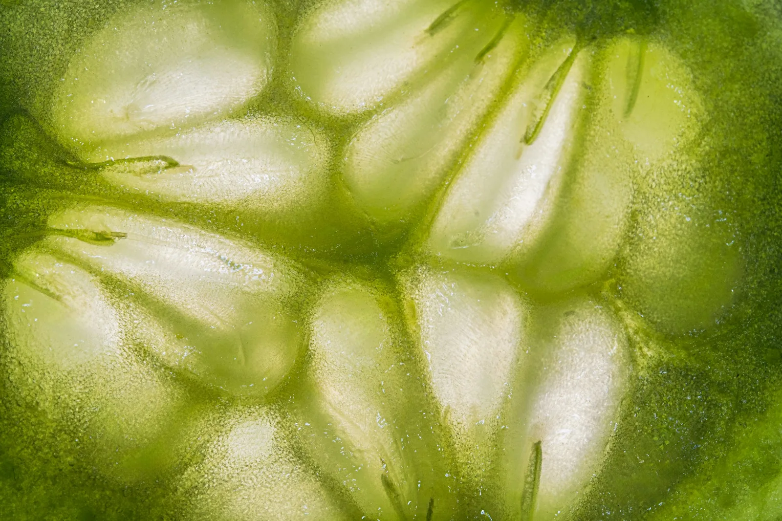 A tomatillo cut in half