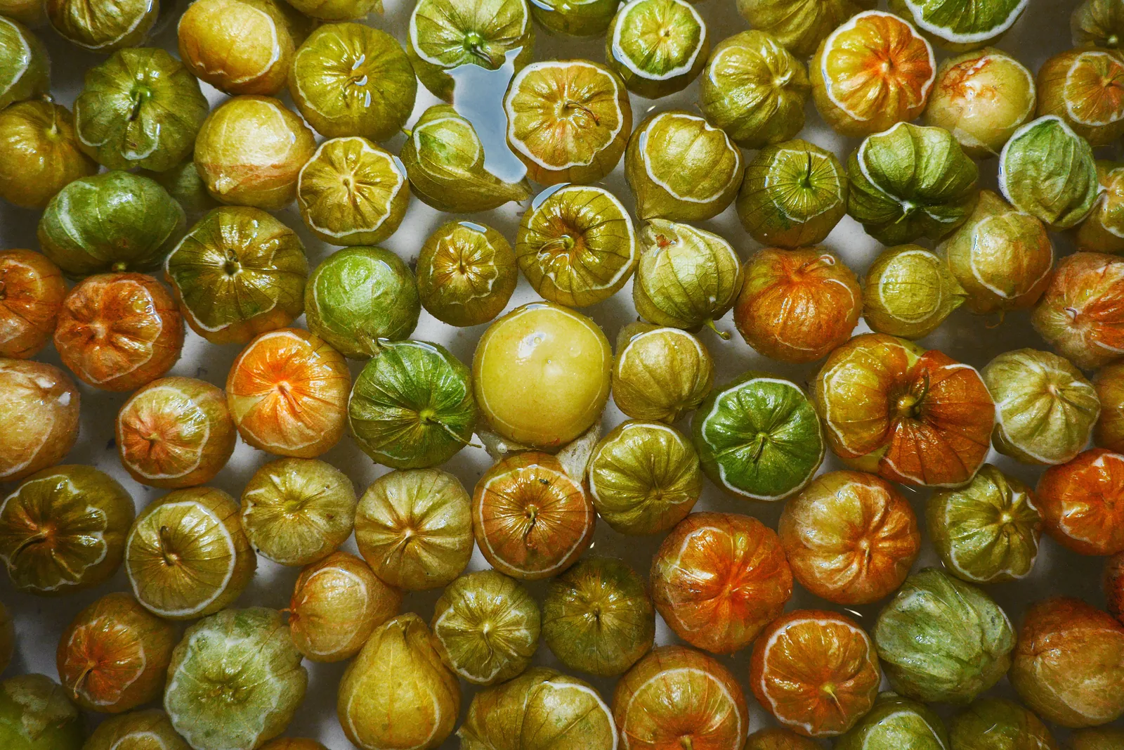 Tomatillos still in their papery husks